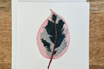 Ficus Ruby Plant Any Occasion Card