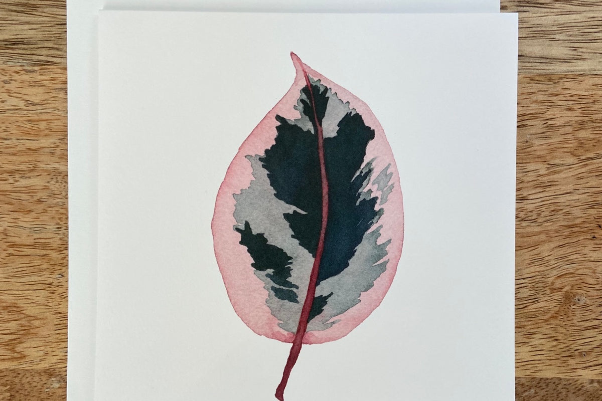 Ficus Ruby Plant Any Occasion Card