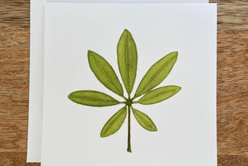 Umbrella Plant Any Occasion Card