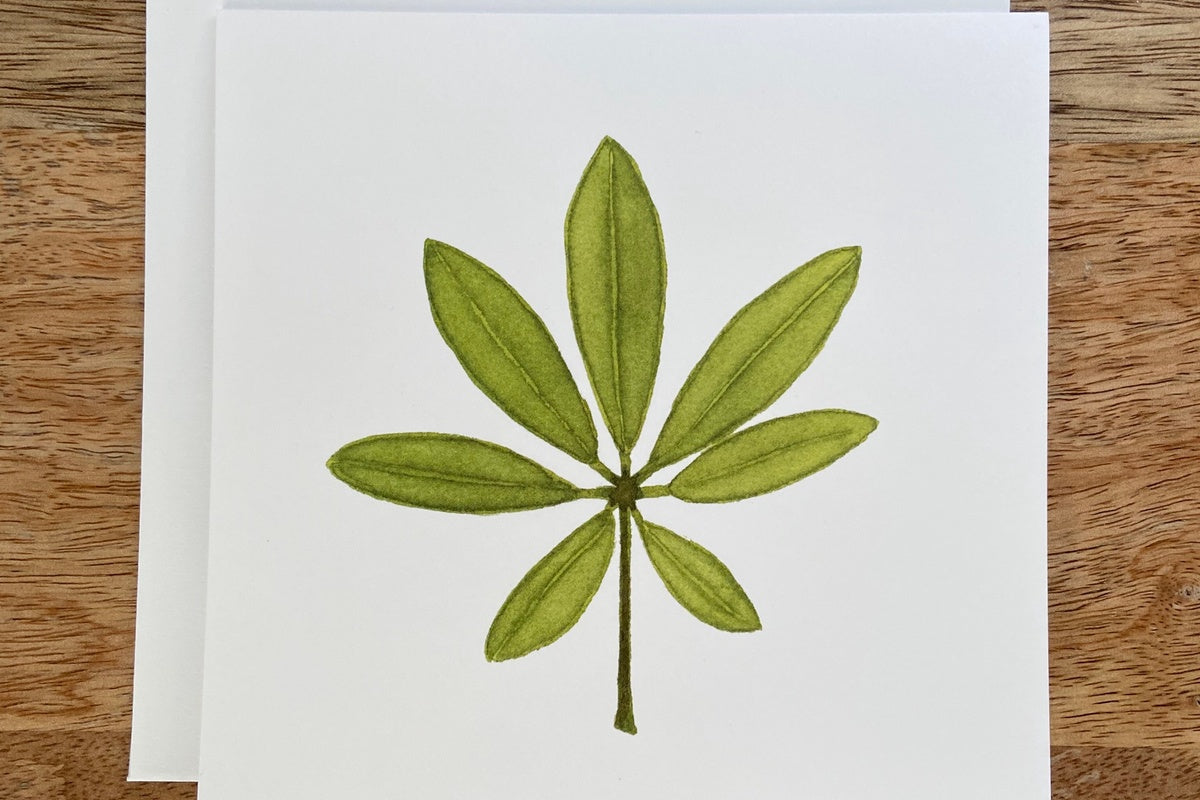 Umbrella Plant Any Occasion Card