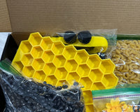 Bee Sensory Play Subscription Box