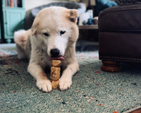 Papa Pupsie's Snax N Treats Pup Box