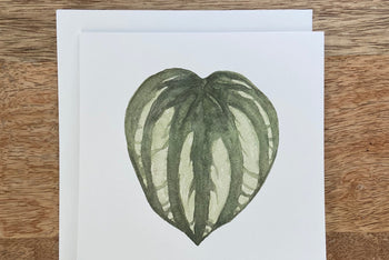 Watermelon Peperomia Plant Any Occasion Card