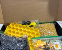 Bee Sensory Play Subscription Box