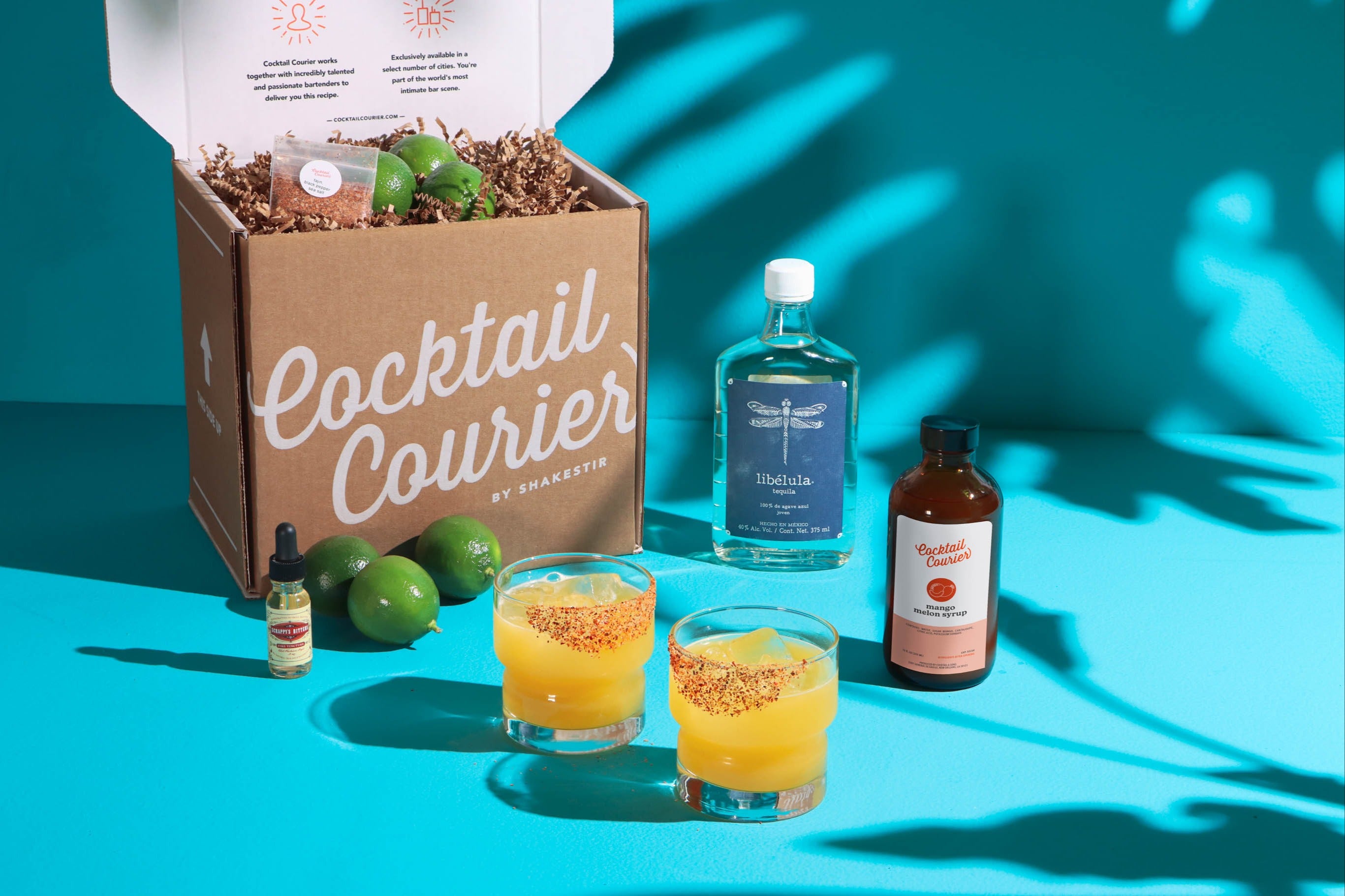 The Shake It Up Cocktail Kit, Craft Gin Club