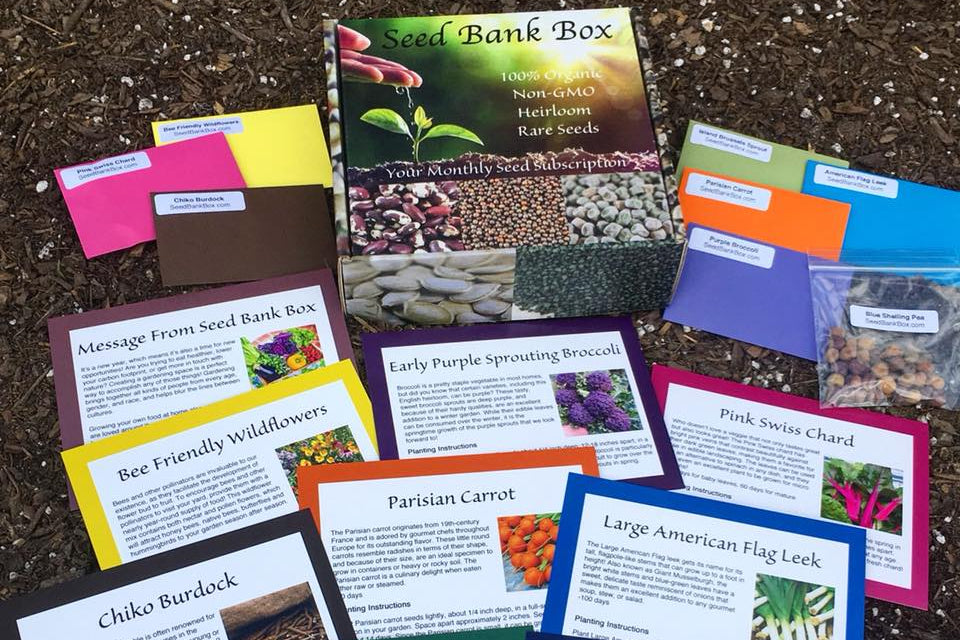 Where to Buy ALL-in-ONE MEGA Seed Bank seeds 