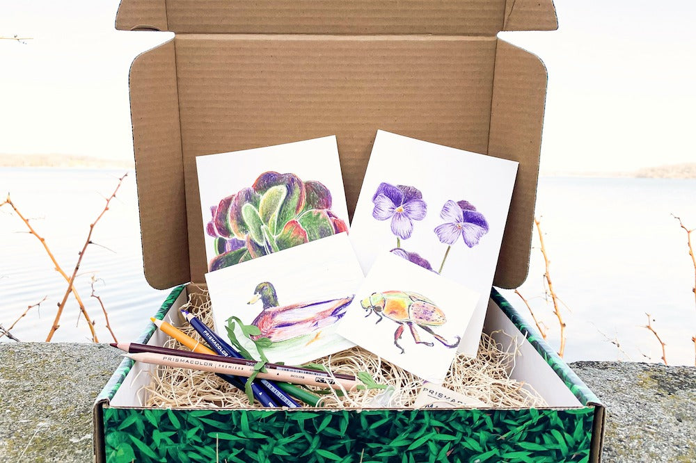 Homeschool Arts and Crafts Kits - Art Box for Kids